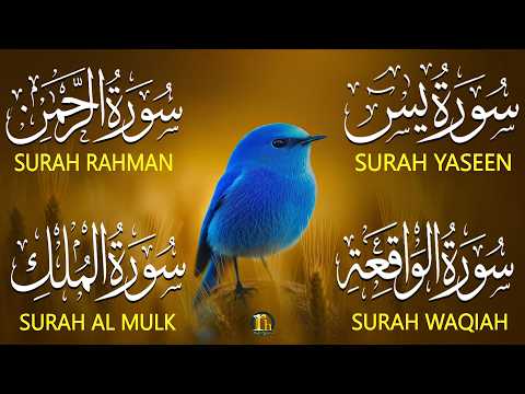 Heart Touching Quran Recitation That Moves The Soul | Surah Yasin Ar-Rahman Al-Waqiah Al-Mulk