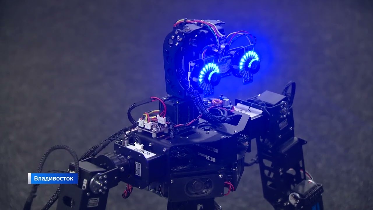 Вести.  Приморье.  Человекоподобный Робот Адам Произвел Фурор На Международном Саммите Россия Африка