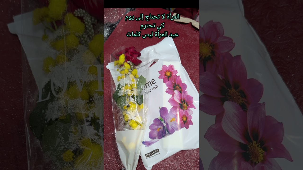 المرأة لا تحتاج إلى يوم كي تحترم عيد المرأة ليس كلمات