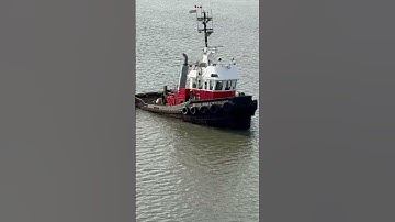 Small Tug Boat pulling thousand logs down the Fraser River
