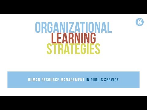 Organizational Learning Strategies