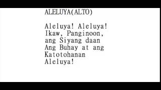 Video thumbnail of "Aleluya TNB @alto"