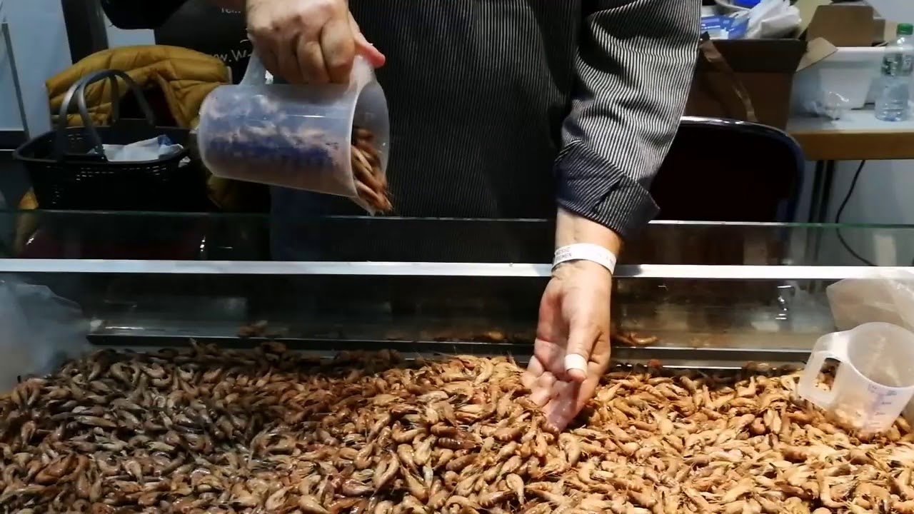 Nachhaltige Fischerei auf der Fisch & Feines in Bremen