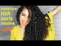 MOISTURE RICH CURLS ROUTINE  for healthy-looking, shiny frizz, free curls! Lana Summer