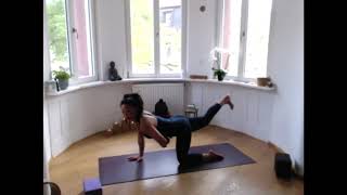Vinyasa Flow Yoga with Tina
