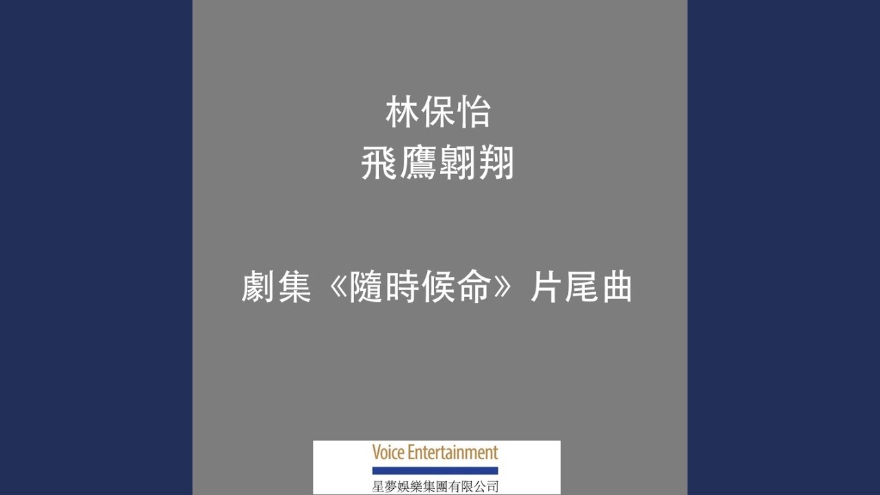 飛鷹翺翔 (TVB劇集