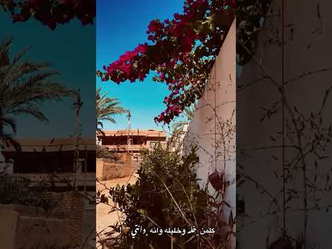 كلمن خل وخليله وانا وانتي ساجده عبيد ردح عراقي اغاني ساجده عبيد اغاني اعراس اغاني عراقية اكسبلور