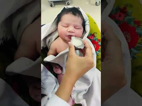 Palladai feeding #newborn #shorts #cute #happiness #trending | the baby doctor