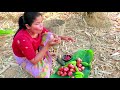 Primitive In forest - woman pick bananas - Wild people Eat delicious