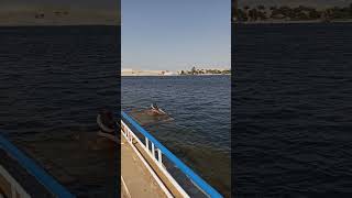 Суэцкий канал #достопримечательности #вода #пейзажи