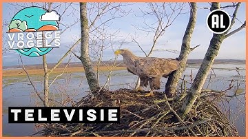 Beleef de Lente #1 | TV | Vroege Vogels