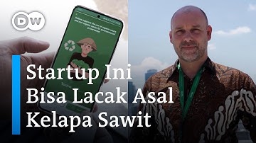 Melacak Asal Usul Rantai Pasok Kelapa Sawit dengan Aplikasi Koltiva | #DWBusiness