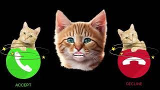 Cats Samsung Galaxy Cat famous phone Ringtones | Cute cat PSHIK Samsung new ringtone cat phone