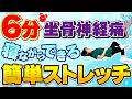 6分で坐骨神経痛に効く!寝ながらできる簡単ストレッチ!