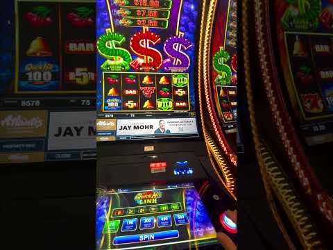 Guitar Hotel Seminole Hard Rock Tour | Free Things to do in Hollywood Florida