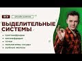 Выделительные системы | ЕГЭ Биология | Даниил Дарвин