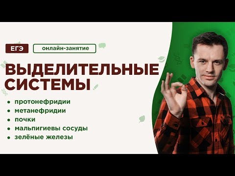 Video: Система теориясынын терминологиясы деген эмне?