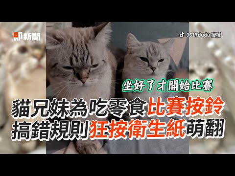 貓兄妹為吃零食比賽按鈴🛎 搞錯規則狂按衛生紙😹｜寵物動物｜貓咪｜精選影片