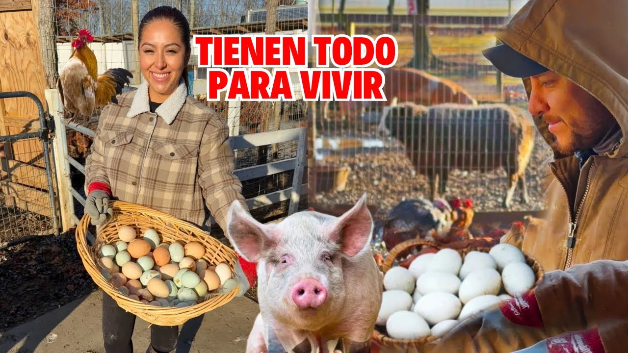 ABANDONARON la ciudad para VIVIR en su GRANJA❤️🐔🐷 Josué y Elie