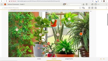 Grade 3 Science Unit 1 lesson 2 part 3