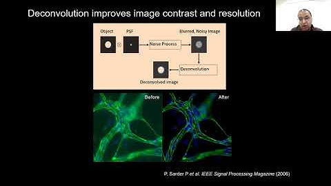 Light Sheet Fluorescence Microscopy - Applications in research