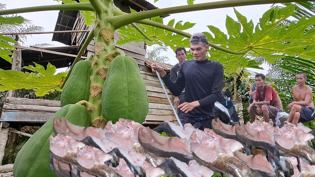 Bantu bapak panen dan mengolah hasil buruan 