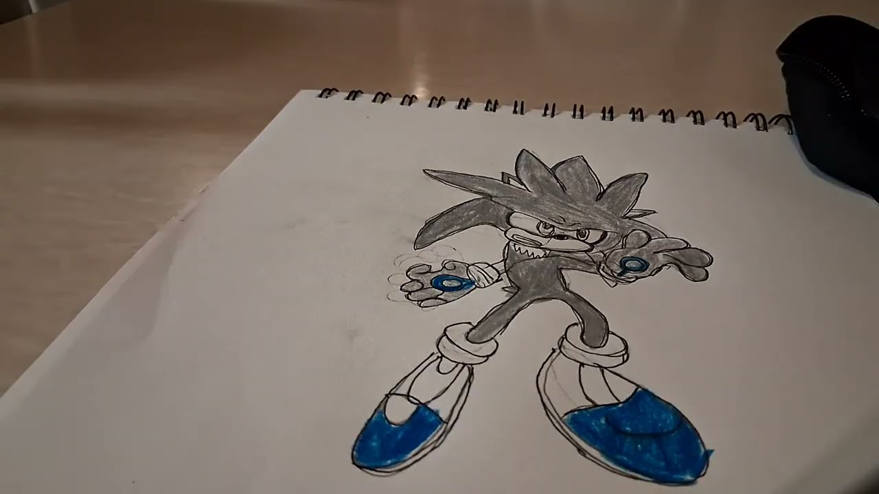 Silver the Hedgehog Time Lapse