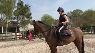 Jumping training - improving canter rhythm and length of stride