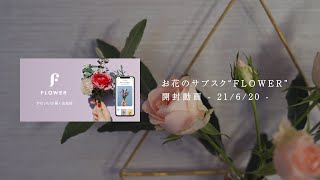 お花のサブスク『FLOWER』6月分 開封動画