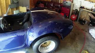 Washing Cobra