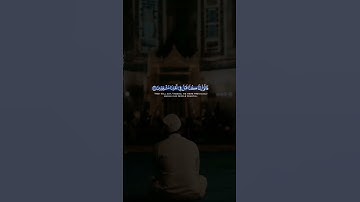 المنشاوي سورة فاطر