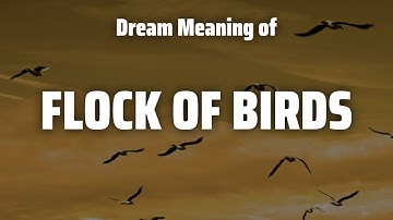 Flock Of Birds Dream Meaning & Symbolism
