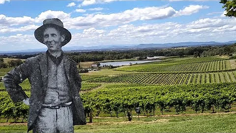 Audrey WilkinsonWinery , the most beautiful view i...