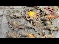 Oh No! Animals Fell in Mud 😱 Cleaning Wild Animals Toys | Learning Animal Names! Baby Toys 