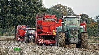 Kartoffeln ernten mit Fendt, Case, Grimme und New Holland [HD]