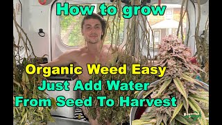 How To Grow Organic Weed Easy JUST ADD WATER from Seed to Harvest and Prevent Pests Naturally