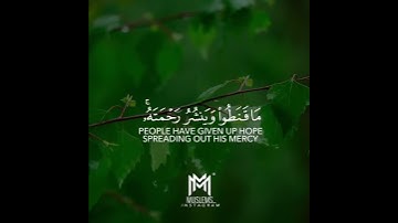 سورة الشورى اسلام صبحي