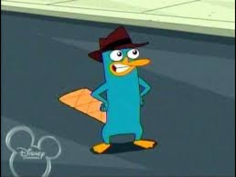 A Platypus Spatula? PERRY THE PLATYPUS SPATULA!?, Perry the Platypus