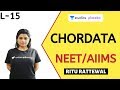 L15: Chordata | Animal Kingdom | Pre-medical - NEET/AIIMS | Ritu Rattewal