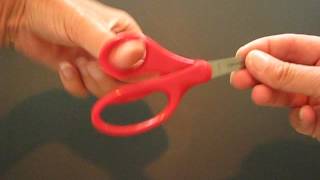Scissor Safety by Lorri
