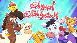 marah tv - قناة مرح| أغنية أصوات الحيوانات