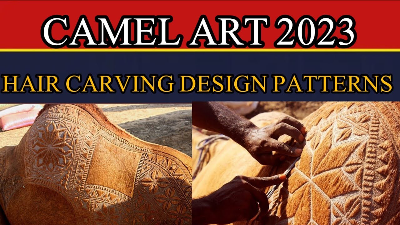CAMEL ART | HAIR CARVING DESIGN PATTERNS | Eid ul adha | Karachi Camel design | pak exclusive tv