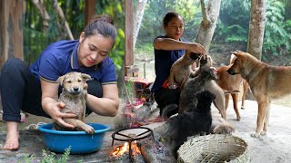 Herbal Bath For Puppies - Processing food for animals - Cooking - Lý Thị Ca