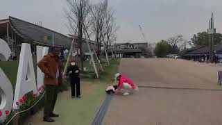 20220430 Cherry Blossom Season at Tennoji Park