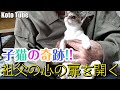 我が家の奇跡！一匹の保護した野良子猫が、大のネコ嫌いだった91歳の祖父の心を開いた時！