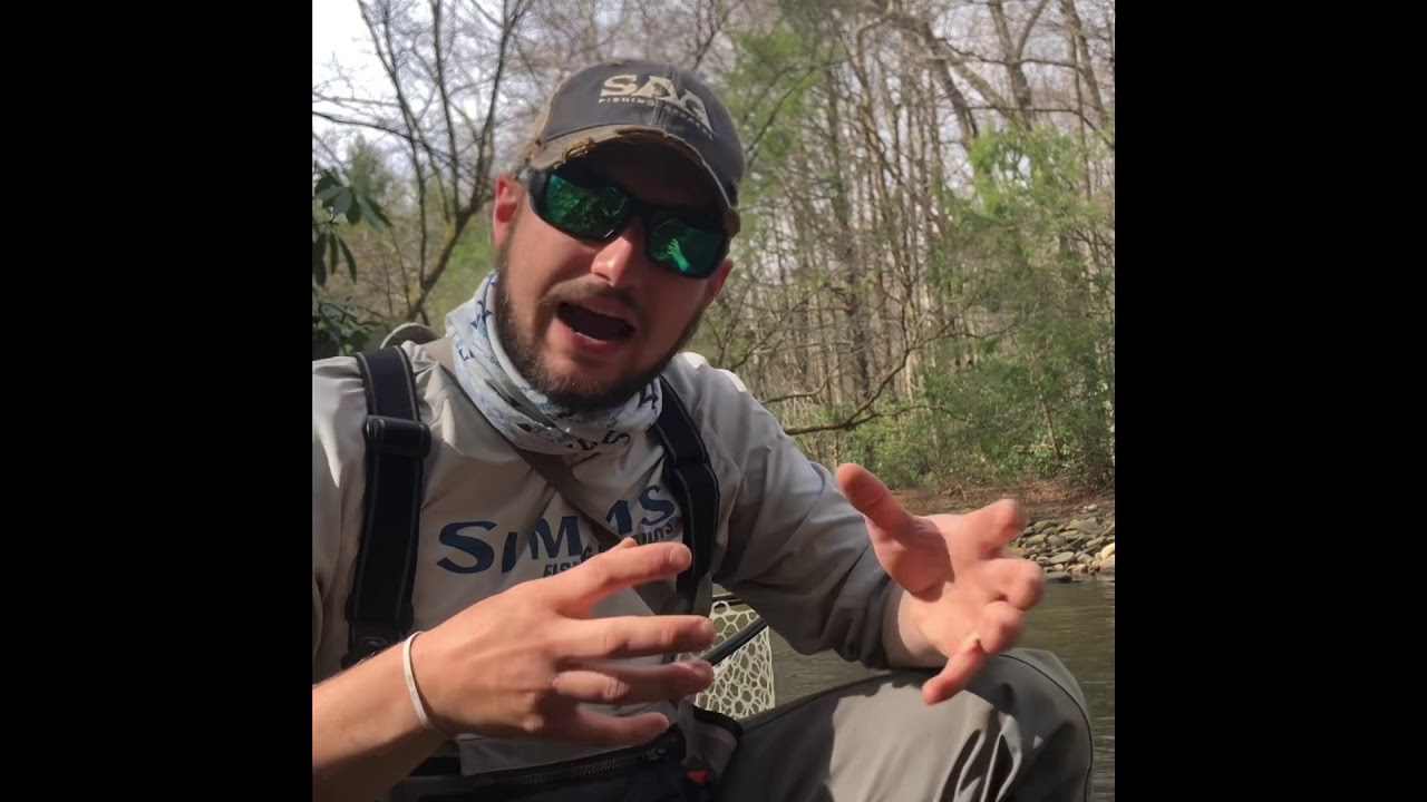 Fly Fishing Presentation in Southern Appalachian Mountains By Guide