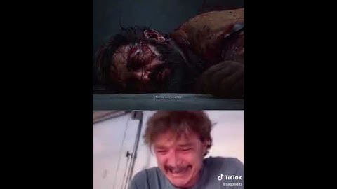 The Last Of Us (pedro pascal crying)