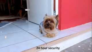 Hostel Porto Tche In Porto Alegre, Brazil