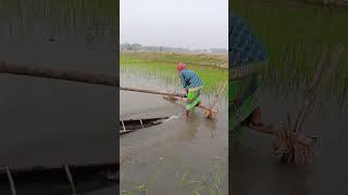 285.Irrigation works using ancient methods