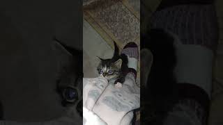 Buda yaramaz bişey olacak